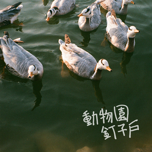 大丁丁插女人阴部视频
