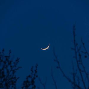 大丁丁插女人阴部视频
