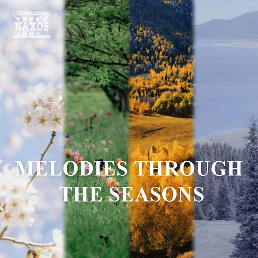 大丁丁插女人阴部视频
